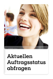 Auftragsstatus abfragen